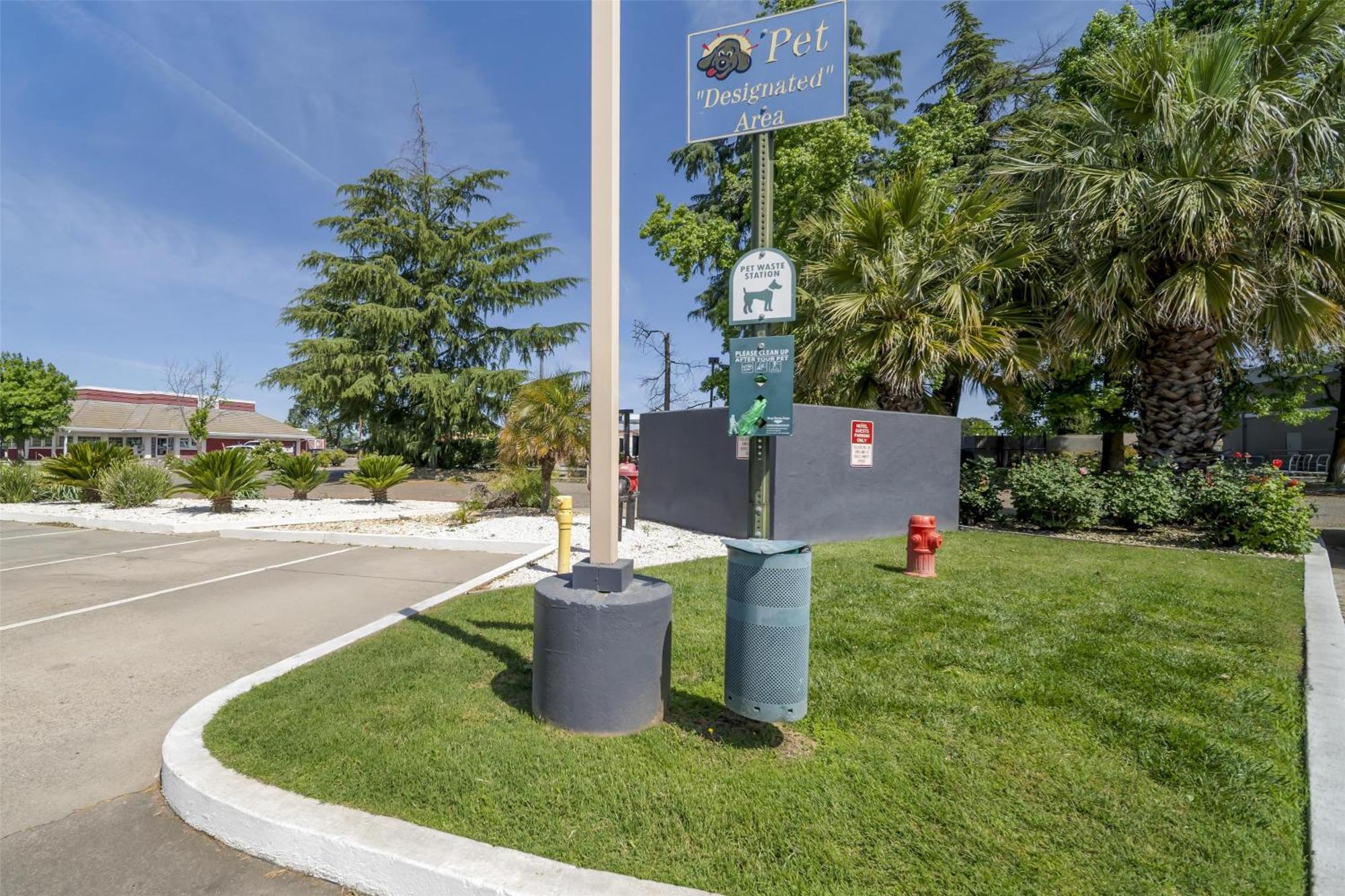 Best Western Antelope Inn & Suites Red Bluff Buitenkant foto